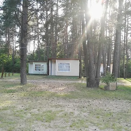 Osrodek Wypoczynkowy A26 - Mazury אלק